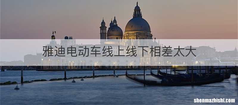 雅迪电动车线上线下相差太大