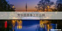 芳华苗苗身上什么味