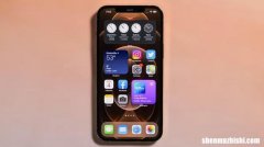 如何在Apple Pages App中添加页码