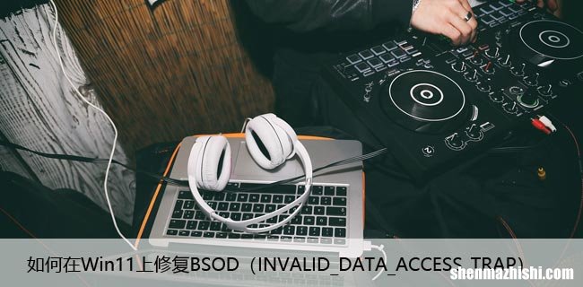INVALID_DATA_ACCESS_TRAP 如何在Win11上修复BSOD