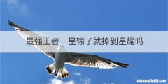 最强王者一星输了就掉到星耀吗