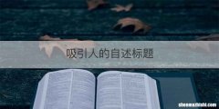 吸引人的自述标题