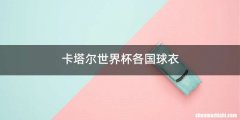 卡塔尔世界杯各国球衣