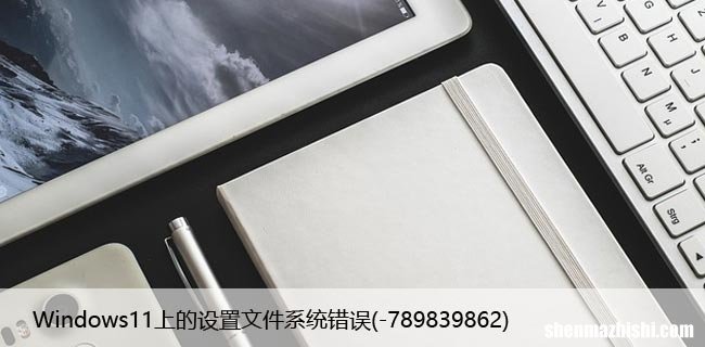 -789839862 修复：Windows11上的设置文件系统错误