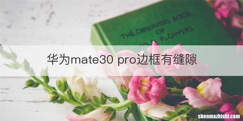 华为mate30 pro边框有缝隙