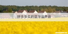拼多多买的蓝牙没声音