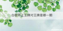 白敬亭上王牌对王牌是哪一期