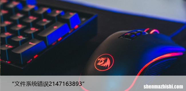 如何修复Win11和10上的“文件系统错误2147163893”