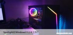 Spotlight在Windows11上不工作？这是修复它的方法