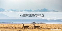 rog猛禽主板怎样选