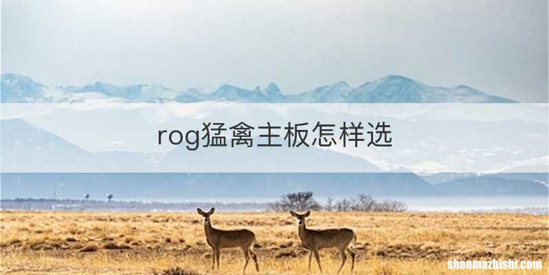 rog猛禽主板怎样选