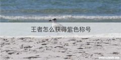 王者怎么获得紫色称号