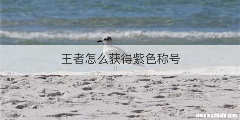 王者怎么获得紫色称号