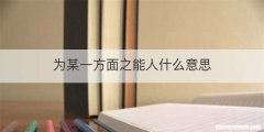 为某一方面之能人什么意思