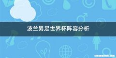 波兰男足世界杯阵容分析