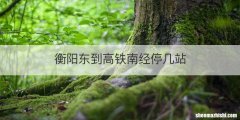 衡阳东到高铁南经停几站