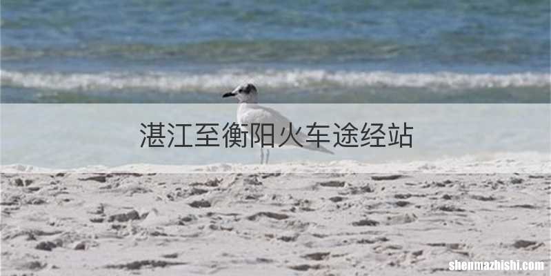 湛江至衡阳火车途经站
