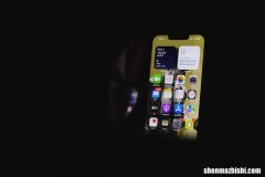 如何在iPhone 14上设置和使用Siri