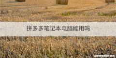 拼多多笔记本电脑能用吗