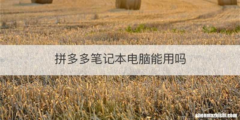 拼多多笔记本电脑能用吗