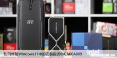 如何修复Windows11中的安装错误0xCA00A009