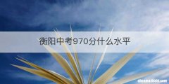 衡阳中考970分什么水平