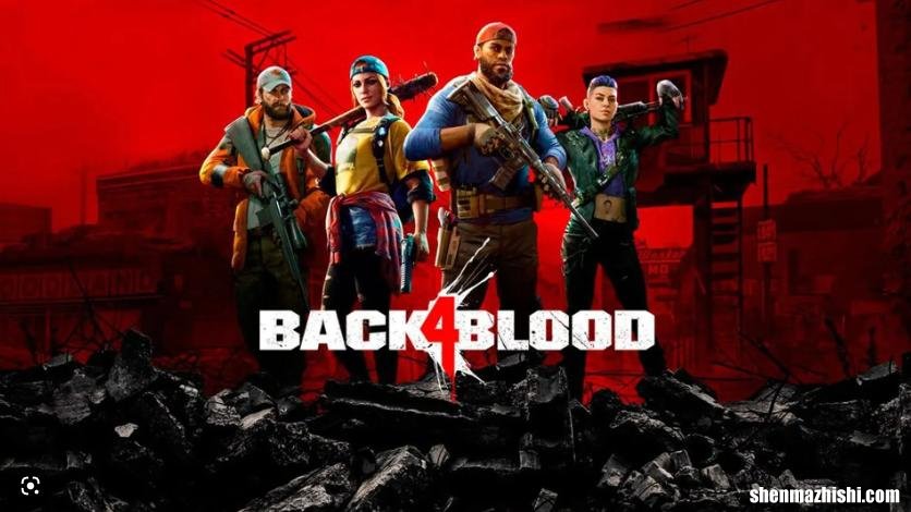 修复Windows11/10上的Back 4 Blood Crashing问题