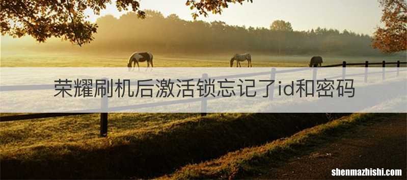 荣耀刷机后激活锁忘记了id和密码