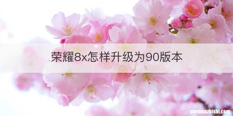 荣耀8x怎样升级为90版本