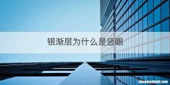 银渐层为什么是竖眼