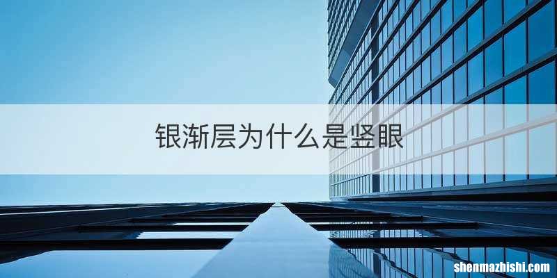 银渐层为什么是竖眼