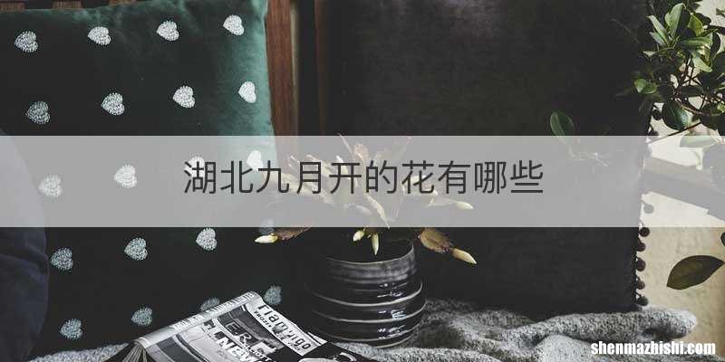 湖北九月开的花有哪些