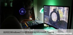 如何在Windows11中禁用或卸载Microsoft Teams