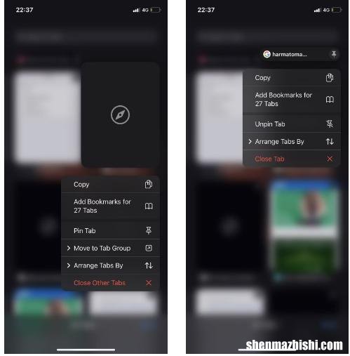 如何在iPhone上固定和取消固定Safari标签页