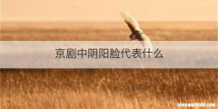 京剧中阴阳脸代表什么
