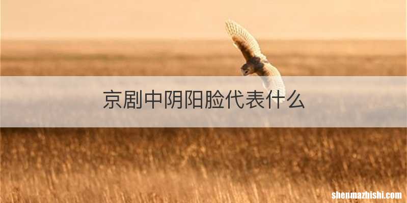 京剧中阴阳脸代表什么
