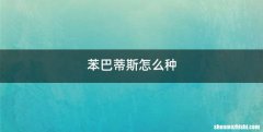 苯巴蒂斯怎么种