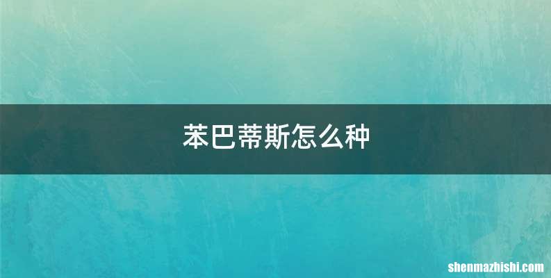 苯巴蒂斯怎么种