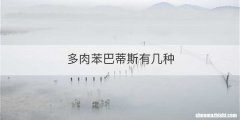 多肉苯巴蒂斯有几种