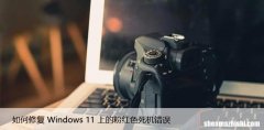 如何修复Windows11上的粉红色死机错误