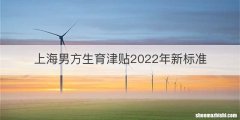 上海男方生育津贴2022年新标准