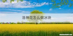 洛神花怎么做冰块