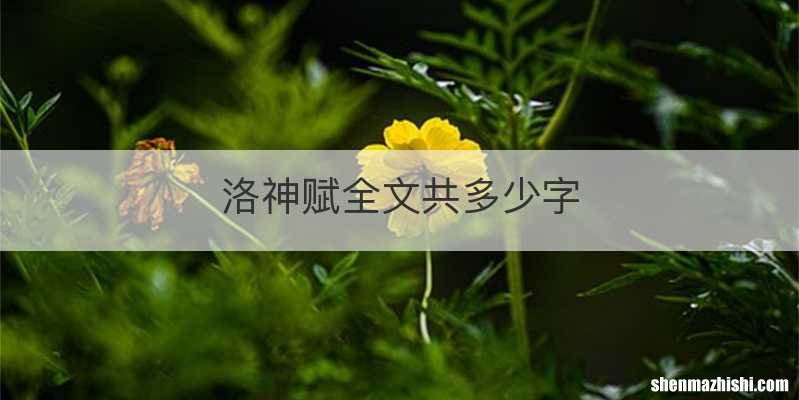洛神赋全文共多少字