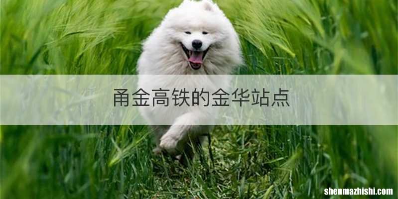 甬金高铁的金华站点