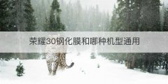 荣耀30钢化膜和哪种机型通用