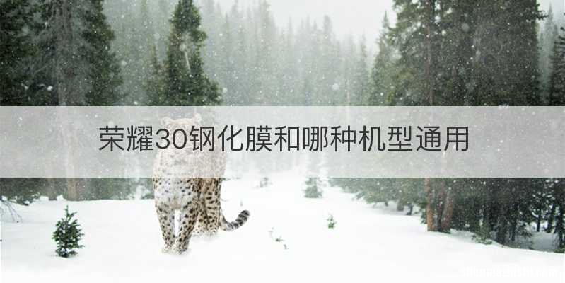 荣耀30钢化膜和哪种机型通用
