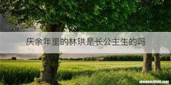 庆余年里的林珙是长公主生的吗