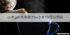 小米gan充电器33w小米10可以用吗