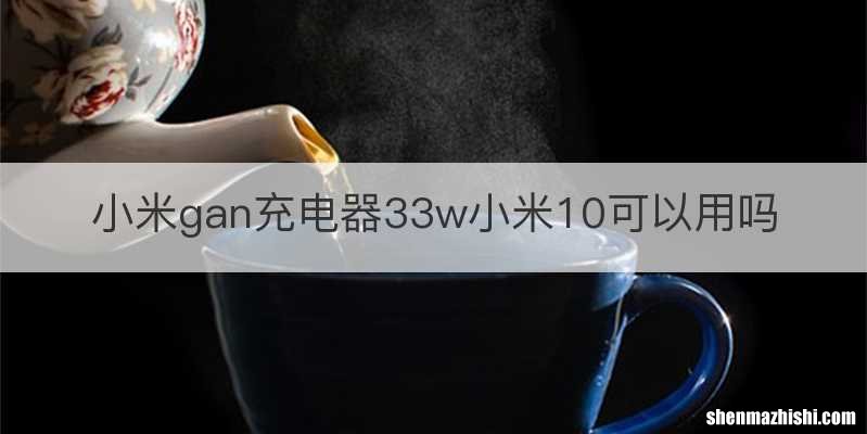 小米gan充电器33w小米10可以用吗