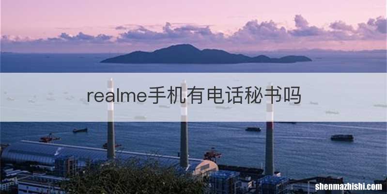 realme手机有电话秘书吗